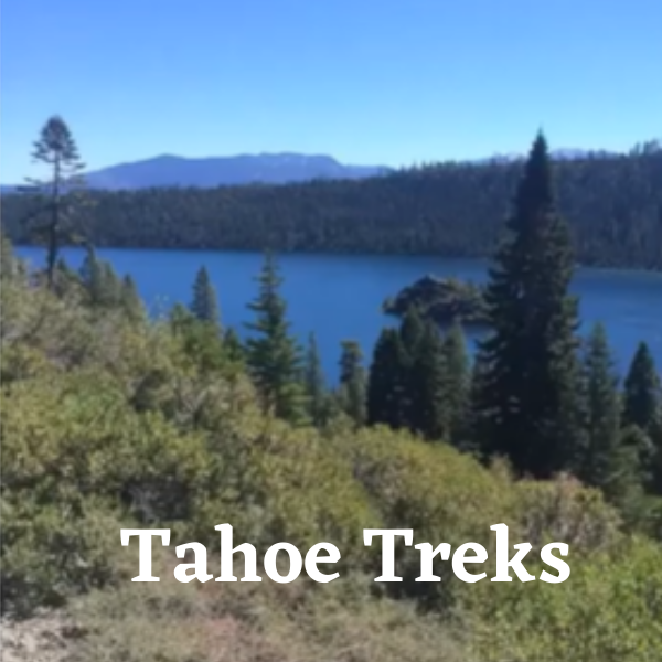 Tahoe Treks logo